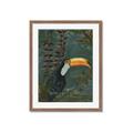 Picture of Long Beak I _GroupedProduct_Rectangle_Portrait_Framed_Matted_