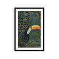 Picture of Long Beak I _GroupedProduct_Rectangle_Portrait_Framed_Matted_