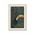 Picture of Long Beak I _GroupedProduct_Rectangle_Portrait_Framed_Matted_