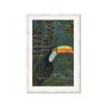 Picture of Long Beak I _GroupedProduct_Rectangle_Portrait_Framed_Matted_