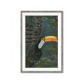 Picture of Long Beak I _GroupedProduct_Rectangle_Portrait_Framed_Matted_