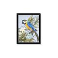 Picture of Parrot Paradise II  _GroupedProduct_Rectangle_Portrait_Framed_Matted_