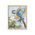 Picture of Parrot Paradise II  _GroupedProduct_Rectangle_Portrait_Framed_Matted_