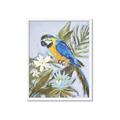 Picture of Parrot Paradise II  _GroupedProduct_Rectangle_Portrait_Framed_Matted_