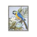 Picture of Parrot Paradise II  _GroupedProduct_Rectangle_Portrait_Framed_Matted_
