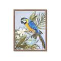 Picture of Parrot Paradise II  _GroupedProduct_Rectangle_Portrait_Framed_Matted_
