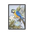 Picture of Parrot Paradise II  _GroupedProduct_Rectangle_Portrait_Framed_Matted_