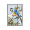 Picture of Parrot Paradise II  _GroupedProduct_Rectangle_Portrait_Framed_Matted_