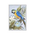 Picture of Parrot Paradise II  _GroupedProduct_Rectangle_Portrait_Framed_Matted_