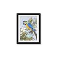 Picture of Parrot Paradise II  _GroupedProduct_Rectangle_Portrait_Framed_Matted_