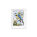 Picture of Parrot Paradise II  _GroupedProduct_Rectangle_Portrait_Framed_Matted_
