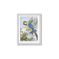 Picture of Parrot Paradise II  _GroupedProduct_Rectangle_Portrait_Framed_Matted_