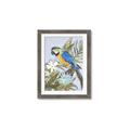 Picture of Parrot Paradise II  _GroupedProduct_Rectangle_Portrait_Framed_Matted_