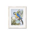 Picture of Parrot Paradise II  _GroupedProduct_Rectangle_Portrait_Framed_Matted_