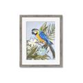 Picture of Parrot Paradise II  _GroupedProduct_Rectangle_Portrait_Framed_Matted_