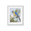 Picture of Parrot Paradise II  _GroupedProduct_Rectangle_Portrait_Framed_Matted_