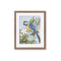 Picture of Parrot Paradise II  _GroupedProduct_Rectangle_Portrait_Framed_Matted_