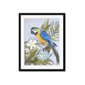 Picture of Parrot Paradise II  _GroupedProduct_Rectangle_Portrait_Framed_Matted_