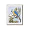 Picture of Parrot Paradise II  _GroupedProduct_Rectangle_Portrait_Framed_Matted_