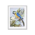 Picture of Parrot Paradise II  _GroupedProduct_Rectangle_Portrait_Framed_Matted_