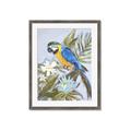 Picture of Parrot Paradise II  _GroupedProduct_Rectangle_Portrait_Framed_Matted_