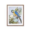 Picture of Parrot Paradise II  _GroupedProduct_Rectangle_Portrait_Framed_Matted_