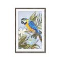 Picture of Parrot Paradise II  _GroupedProduct_Rectangle_Portrait_Framed_Matted_