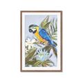 Picture of Parrot Paradise II  _GroupedProduct_Rectangle_Portrait_Framed_Matted_