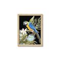 Picture of Parrot Paradise IV _GroupedProduct_Rectangle_Portrait_Framed_Matted_