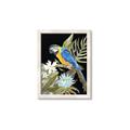 Picture of Parrot Paradise IV _GroupedProduct_Rectangle_Portrait_Framed_Matted_