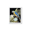 Picture of Parrot Paradise IV _GroupedProduct_Rectangle_Portrait_Framed_Matted_