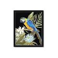 Picture of Parrot Paradise IV _GroupedProduct_Rectangle_Portrait_Framed_Matted_