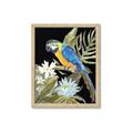 Picture of Parrot Paradise IV _GroupedProduct_Rectangle_Portrait_Framed_Matted_