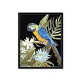 Picture of Parrot Paradise IV _GroupedProduct_Rectangle_Portrait_Framed_Matted_