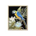 Picture of Parrot Paradise IV _GroupedProduct_Rectangle_Portrait_Framed_Matted_