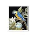 Picture of Parrot Paradise IV _GroupedProduct_Rectangle_Portrait_Framed_Matted_