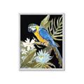 Picture of Parrot Paradise IV _GroupedProduct_Rectangle_Portrait_Framed_Matted_