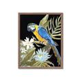 Picture of Parrot Paradise IV _GroupedProduct_Rectangle_Portrait_Framed_Matted_