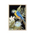 Picture of Parrot Paradise IV _GroupedProduct_Rectangle_Portrait_Framed_Matted_