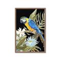 Picture of Parrot Paradise IV _GroupedProduct_Rectangle_Portrait_Framed_Matted_