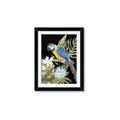 Picture of Parrot Paradise IV _GroupedProduct_Rectangle_Portrait_Framed_Matted_