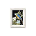 Picture of Parrot Paradise IV _GroupedProduct_Rectangle_Portrait_Framed_Matted_