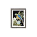 Picture of Parrot Paradise IV _GroupedProduct_Rectangle_Portrait_Framed_Matted_