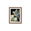 Picture of Parrot Paradise IV _GroupedProduct_Rectangle_Portrait_Framed_Matted_