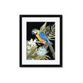 Picture of Parrot Paradise IV _GroupedProduct_Rectangle_Portrait_Framed_Matted_