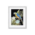 Picture of Parrot Paradise IV _GroupedProduct_Rectangle_Portrait_Framed_Matted_