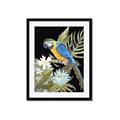 Picture of Parrot Paradise IV _GroupedProduct_Rectangle_Portrait_Framed_Matted_