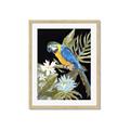 Picture of Parrot Paradise IV _GroupedProduct_Rectangle_Portrait_Framed_Matted_
