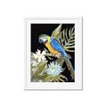 Picture of Parrot Paradise IV _GroupedProduct_Rectangle_Portrait_Framed_Matted_
