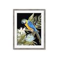 Picture of Parrot Paradise IV _GroupedProduct_Rectangle_Portrait_Framed_Matted_